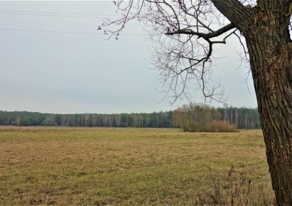 działka na sprzedaż - Nowa Wieś Wielka (gw), Dobromierz