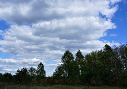 działka na sprzedaż - Złotniki Kujawskie, Dąbrówka Kujawska