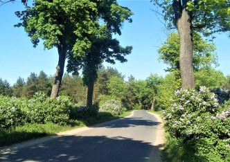 działka na sprzedaż - Dobrcz (gw), Dobrcz