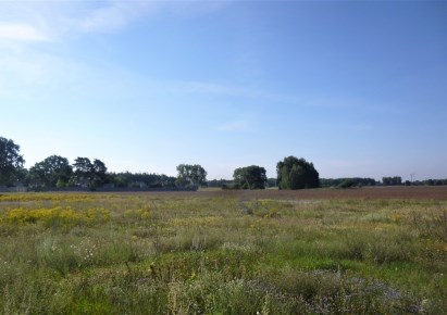 działka na sprzedaż - Dobrcz (gw), Dobrcz