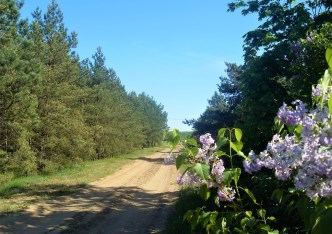 działka na sprzedaż - Solec Kujawski (gw), Chrośna