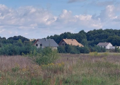 działka na sprzedaż - Sicienko (gw), Trzemiętowo