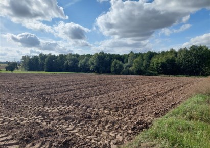 działka na sprzedaż - Sicienko (gw), Szczutki