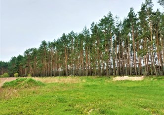 działka na sprzedaż - Zławieś Wielka (gw), Zławieś Wielka