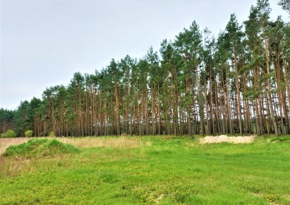 działka na sprzedaż - Zławieś Wielka (gw), Zławieś Wielka