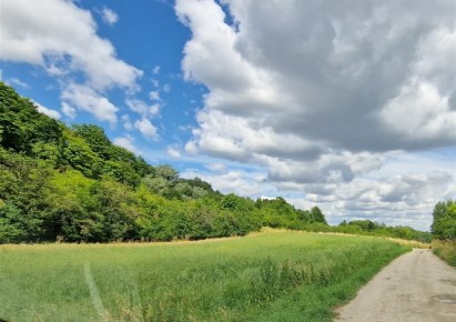 działka na sprzedaż - Dobrcz (gw), Kozielec