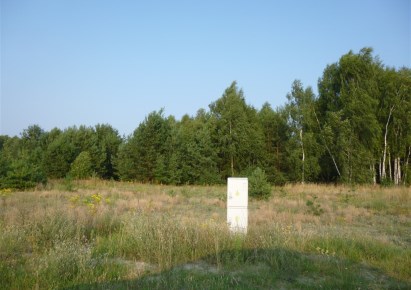 działka na sprzedaż - Nowa Wieś Wielka (gw), Kobylarnia