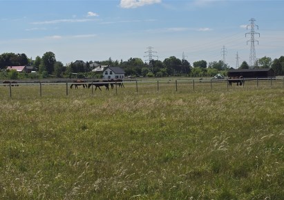 działka na sprzedaż - Bydgoszcz, Prądy