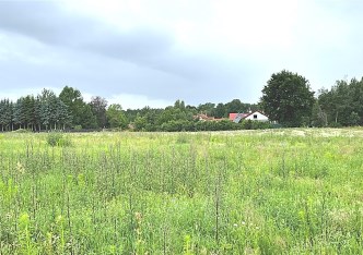 działka na sprzedaż - Osielsko (gw), Niemcz