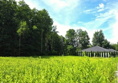 działka na sprzedaż - Białe Błota (gw), Łochowo