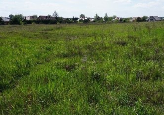 działka na sprzedaż - Białe Błota (gw), Ciele