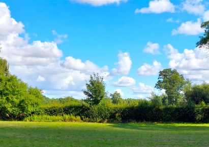 działka na sprzedaż - Złotniki Kujawskie, Dąbrówka Kujawska