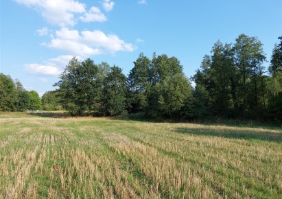 działka na sprzedaż - Złotniki Kujawskie, Dąbrówka Kujawska