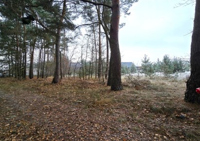 działka na sprzedaż - Ciechocinek