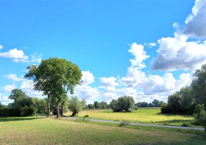 działka na sprzedaż - Szubin (gw), Rynarzewo