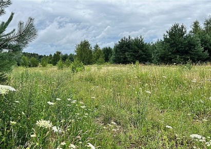 działka na sprzedaż - Osielsko (gw), Niemcz