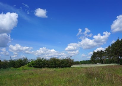 działka na sprzedaż - Białe Błota (gw), Kruszyn Krajeński