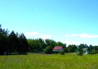 działka na sprzedaż - Szubin (gw), Zamość