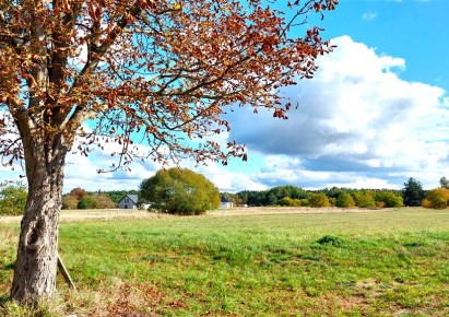 działka na sprzedaż - Nowa Wieś Wielka (gw), Nowe Smolno