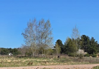 działka na sprzedaż - Dąbrowa Chełmińska (gw), Janowo