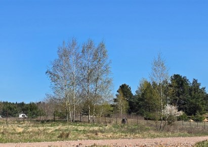 działka na sprzedaż - Dąbrowa Chełmińska (gw), Janowo