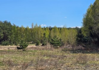 działka na sprzedaż - Dąbrowa Chełmińska (gw), Janowo