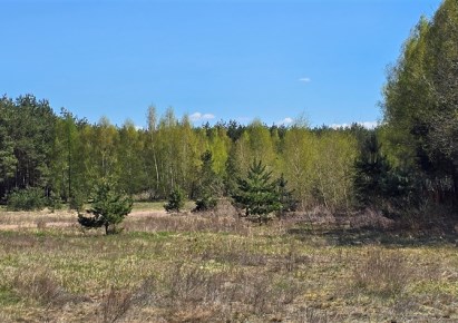 działka na sprzedaż - Dąbrowa Chełmińska (gw), Janowo