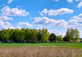 działka na sprzedaż - Nowa Wieś Wielka (gw), Nowa Wieś Wielka