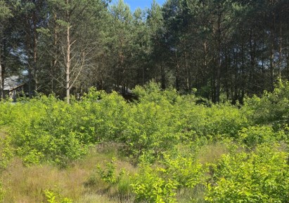 działka na sprzedaż - Szubin (gw), Zamość