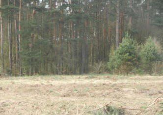 działka na sprzedaż - Bydgoszcz, Opławiec