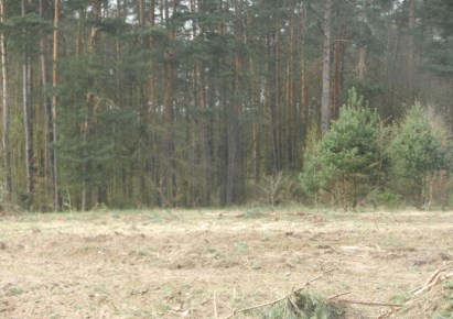 działka na sprzedaż - Bydgoszcz, Opławiec