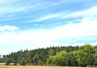 działka na sprzedaż - Białe Błota (gw), Zielonka 